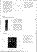 spv10.gif